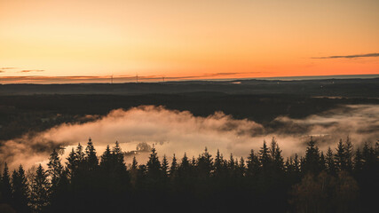 sunrise over the forest with low clouds
