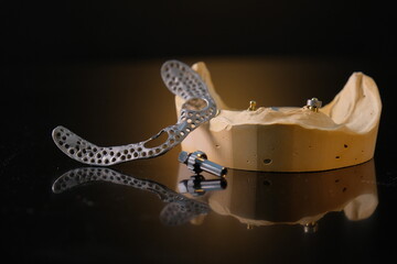 Dental technician works by brush with jaw model