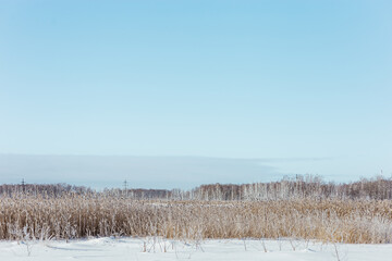Winter landscape with snow-covered field and clear blue sky, grass covered with frost