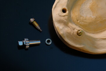 Dental technician works by brush with jaw model