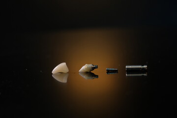 Dental technician works by brush with jaw model