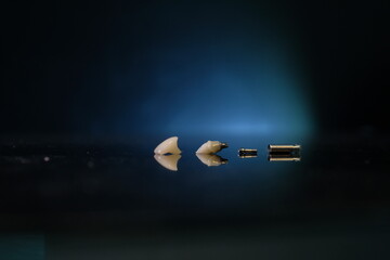 Dental technician works by brush with jaw model