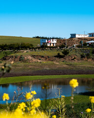 House with Chilean flag in a meadow with a lake in front and vegetation around it