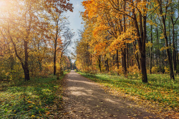 Path in the city park at autumn morning.