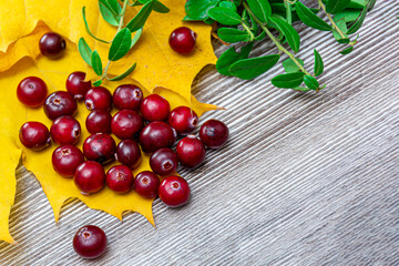 Cranberries and autumn maple leaves on a wooden brown background. Autumn vitamins. Prevention of seasonal flu, coronavirus and ARVI diseases. Copy space, frame.