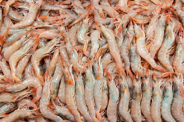 Prawns, seafood, white prawns (Gambas blancas de Isla Cristina, Huelva)
