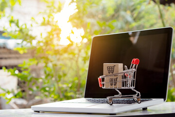Shopping online. cardboard box with a shopping cart logo in a trolley on laptop keyboard. Shopping...