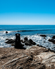 Black dog sitting looking at the beach on a sunny day.