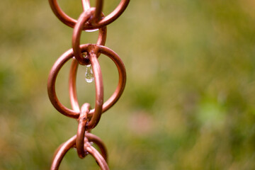 Obraz premium Copper rain chain with rain drop. Textured grass in the background.