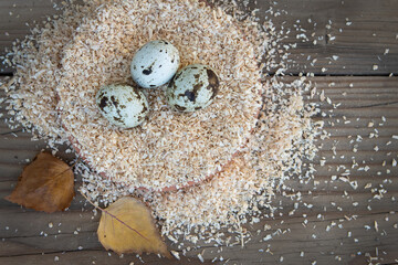 Group of three healthy organic quail eggs. Sitting speckled among fine wood shavings.  Two white birch leaves nearby on wood.