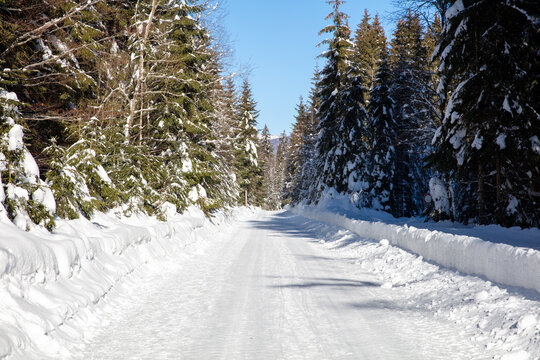 Snow- and ice-covered service road to mount Rachel in the Bavarian Forrest
