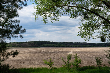 Plowed field with sandy soil framed by trees