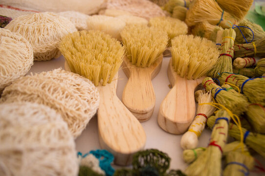 CEPILLOS DE MADERA Y ZACATES DE IXTLE CARDONAL HIDALGO