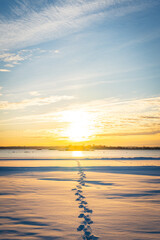 A Beautiful Sunrise in a Beach in Winter
