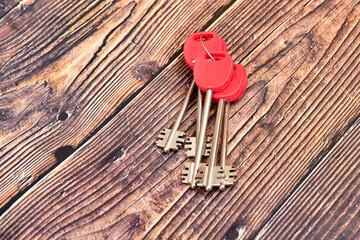 The keys to the front door of a private house or apartment lie on a wooden background.