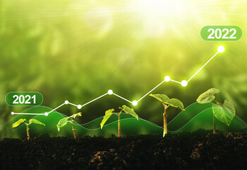 New year 2022 development to success, strategy, plan, goals and vision. Seedling are growing from...