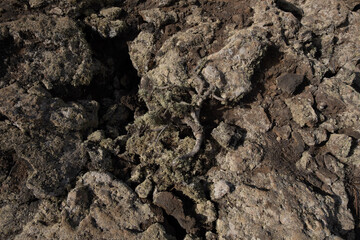 texture of the ground