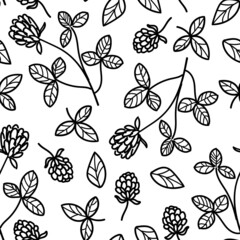 Vector seamless pattern Red clover shamrock wild field flower hand drawn ink illustration isolated on white background, graphic floral texture, line art backdrop for cosmetic, design tea, wallpaper