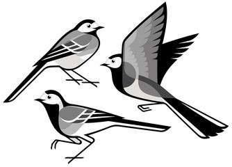 Stylized Birds - White Wagtail