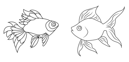 Fish coloring pages