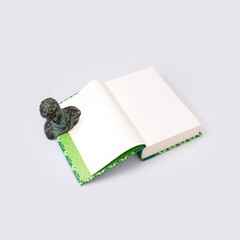 Open book in green cover with white sheets isolated on a white background