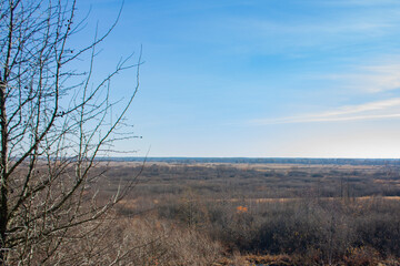 A tree with fallen leaves on the background of an autumn valley under a blue sky. Autumn landscape on a bright sunny day.