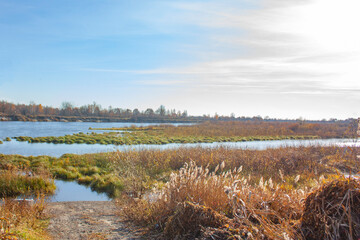 Autumn landscape of rivers and forests in clear, sunny weather. The bright sun illuminates the blue river and yellow grass.