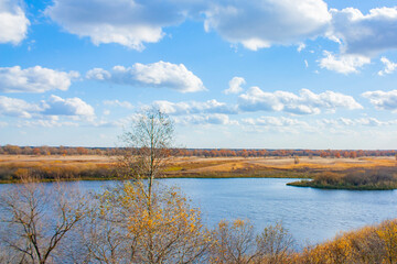 Autumn landscape on a bright sunny day. Yellow trees and bushes on the bank of the blue river.
