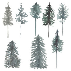 Obraz premium Forest tree Clipart, Watercolor Woodland trees, Winter Foggy landscapes, Pine forest illustration, Wedding invites, card making, logo design