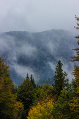 fog in the mountains
