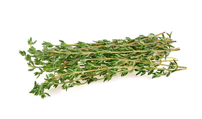 Thyme isolated on white background
