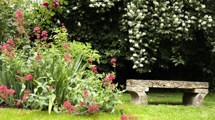 Ornamental stone bench under fragrant, white flowering jasmine bush, in secluded garden scenery . - 467449670