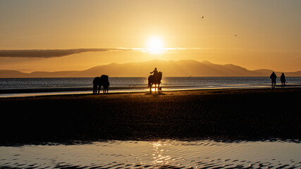Horse Silhouette on Irvine Beach, Ayrshire, Scotland