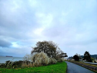 road in the countryside