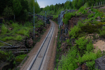 Obraz premium railway in the woods