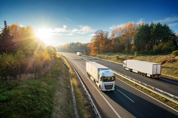 Three white trucks driving on the asphalt highway in autumn forested landscape at sunset - obrazy, fototapety, plakaty