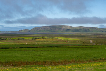 Grassy landscape with mountains water and meadow near the Black Sand Beach Vik South Iceland