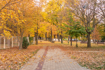Naklejka premium City park in Vranje captured in autumn morning.