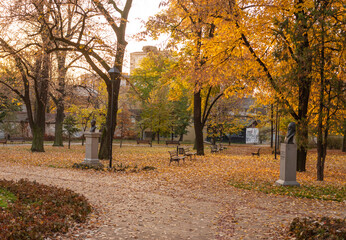 Naklejka premium City park in Vranje captured in autumn morning.