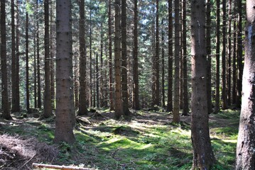 Las iglasty © bnorbert3