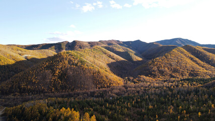 Fototapeta premium Aerial view of Mountain Range, Autumn, Colorful Forest on Peak in Sunset, Russia, Bureinsky ridge, Kholdomi