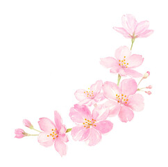 桜の水彩イラスト　コーナーの飾り　