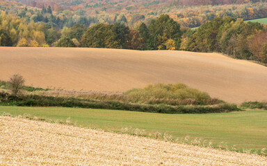 Fototapeta na wymiar pola uprawne na pagórkowatym terenie, w tle las liściasty, jesień