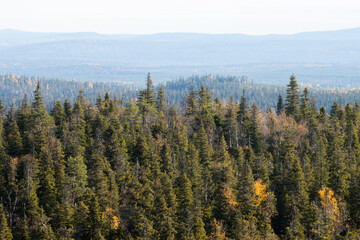 View of autumnal taiga forest with hills and mountains shot from Valtavaara hill near Kuusamo, Finnish nature, Northern Europe.	