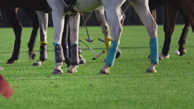 Polo game, two teams on horseback in slow motion. Horseback riding. Polo in the grass arena, equestrian sports in the stadium. Strikes the ball with a wooden mallet. Luxury polo club for celebrities.