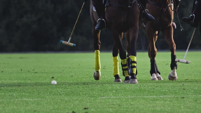 Polo game, two teams on horseback in slow motion. Horseback riding. Polo in the grass arena, equestrian sports in the stadium. Strikes the ball with a wooden mallet. Luxury polo club for celebrities.