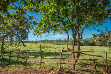 Wooden fence home made rural village landscape