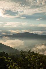 Smoky Mountains
Foothills Parkway