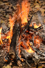 Firewood and smoldering logs red-hot in a burning fire are photographed in close-up