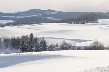 雪に覆われた畑作地帯